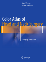 Color Atlas of Head and Neck Surgery.pdf